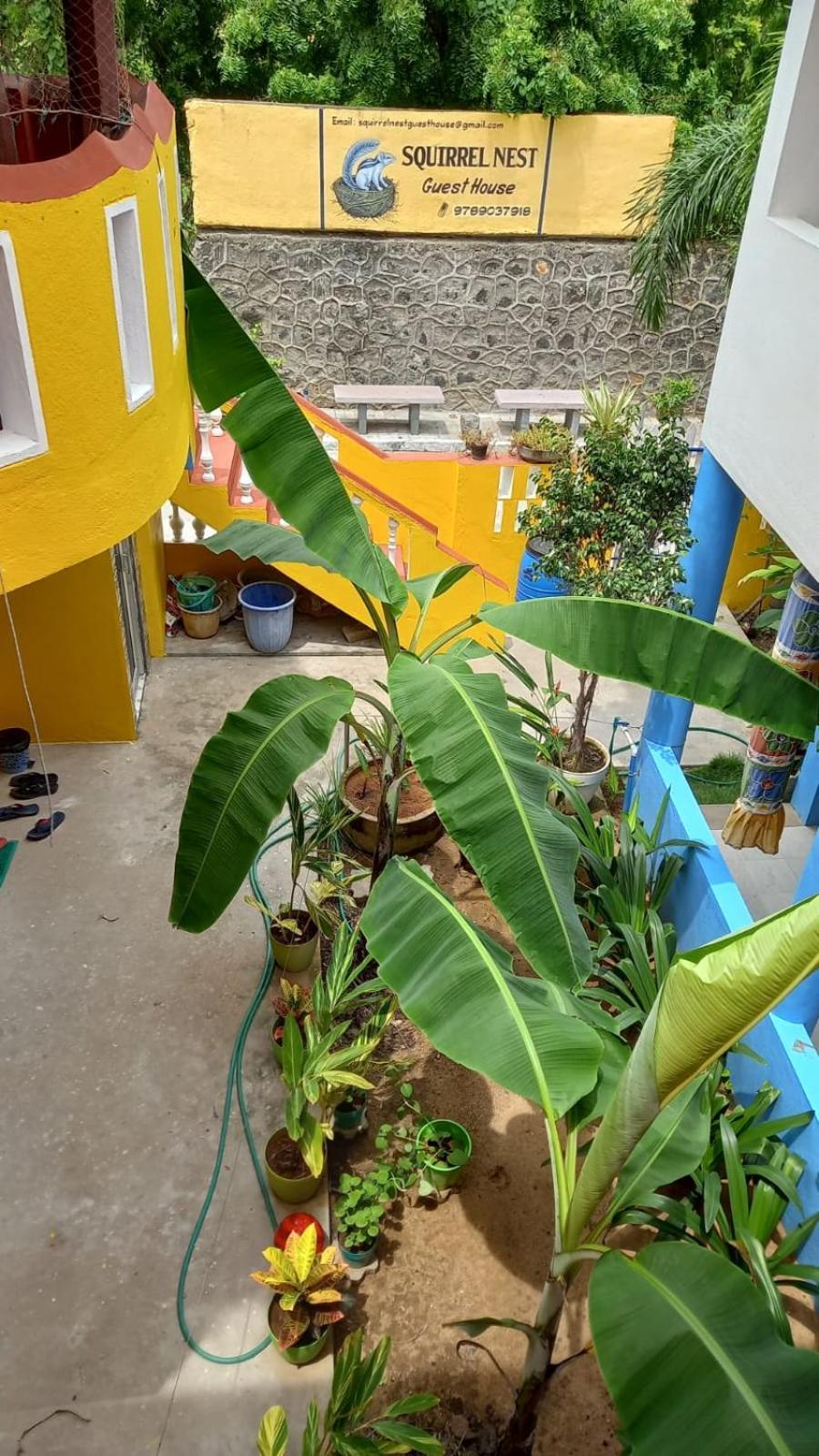 Squirrel Nest Guest House มหาพลีปุรัม ภายนอก รูปภาพ
